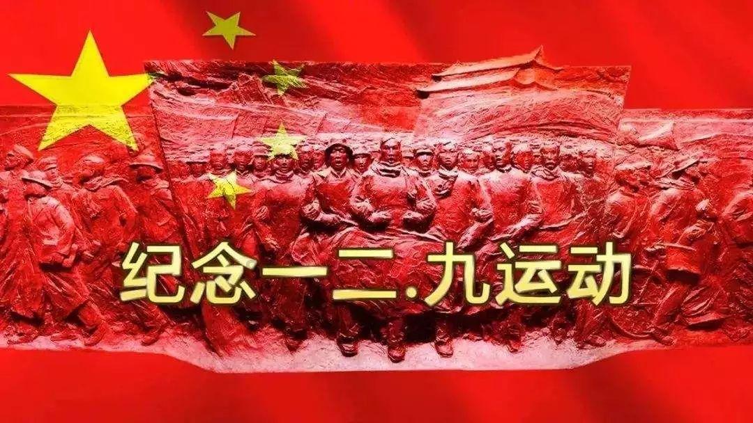 靠《繁花》爆火的辛芷蕾,经历了什么?在《庆余年》里还默默无闻
